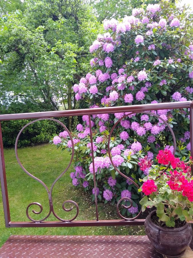 Alster City Garden Villa Hamburg Ngoại thất bức ảnh